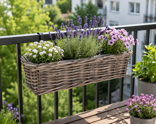 Weiden balkonkasten 46cm mit - balkonkasten,
